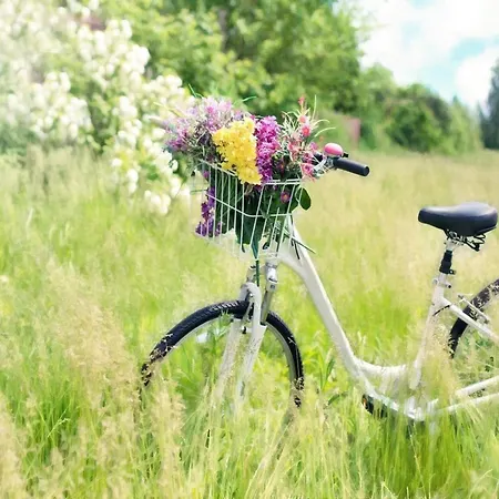 A Comfortable Apartment Close To The Seaside Beach *